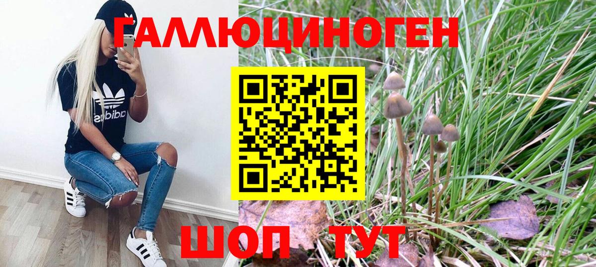 Галлюциногенные грибы MAGIC MUSHROOMS Ейск