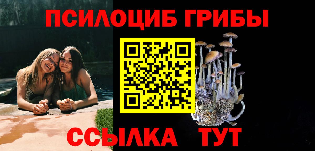 Ейск  Псилоцибиновые грибы MAGIC MUSHROOMS  Вход с VPN 